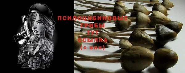 спиды Арсеньев