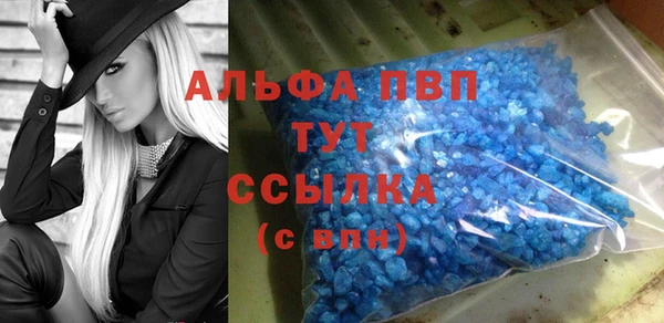 гидра Аркадак