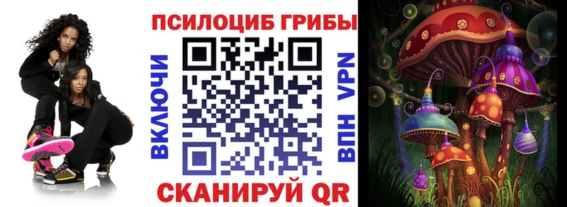 где можно купить наркотик Кыштым Галлюциногенные грибы Magic Shrooms