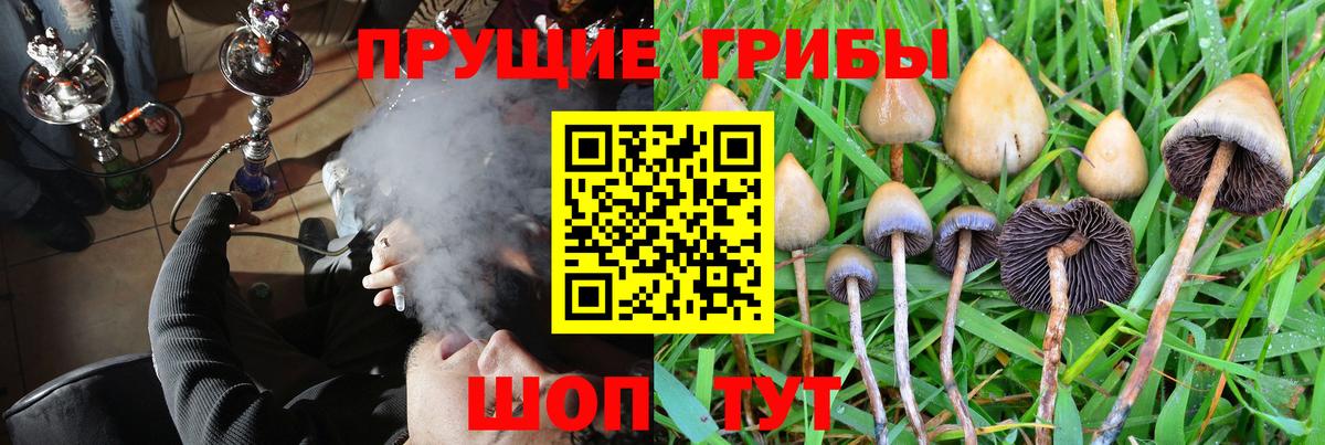 Галлюциногенные грибы MAGIC MUSHROOMS Кыштым