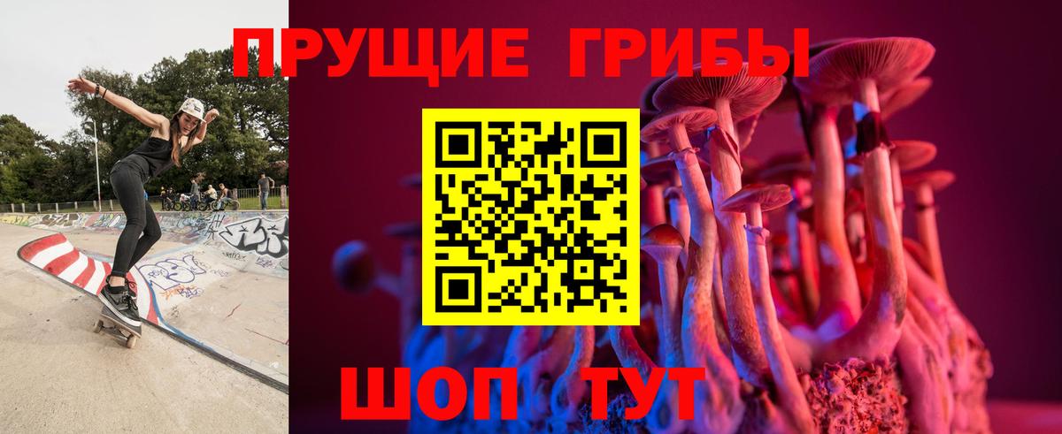 купить наркоту  Псилоцибиновые грибы Psilocybine cubensis  Вход с VPN  Кыштым 