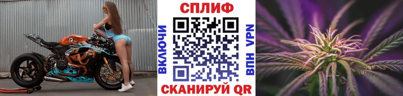 как найти наркотики Кыштым Каннабис тримм